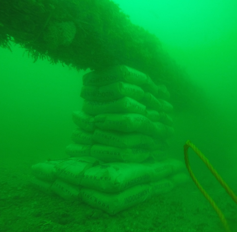 additional pipe support pipe line BTG